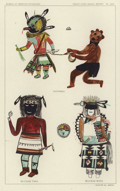 Wupamau, Mucaias Taka, Mucaias Mana von American School