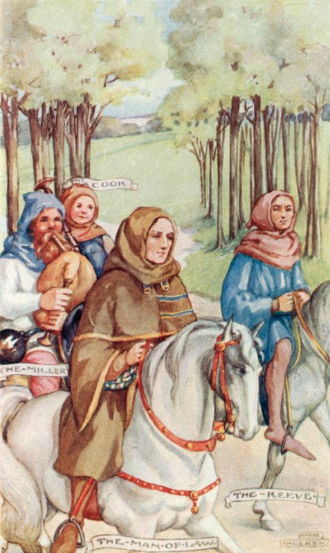 Der Mann im Gesetz von Anne Anderson