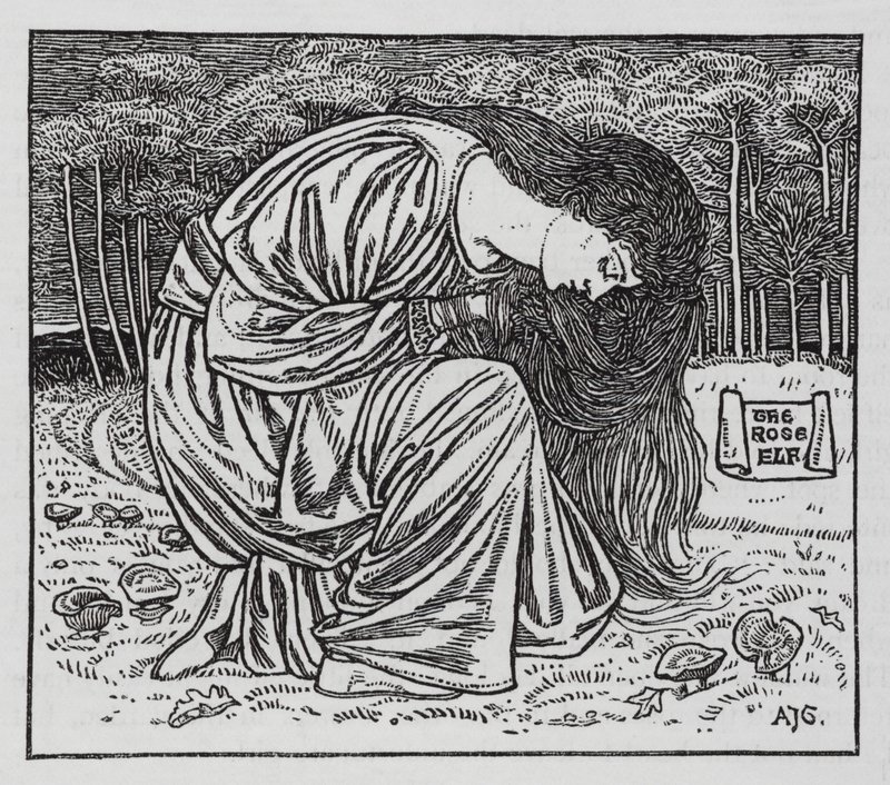 Hans Christian Andersen: Der Rosenelf von Arthur Joseph Gaskin
