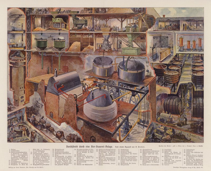 Querschnitt einer Brauerei von August (after) Dressel