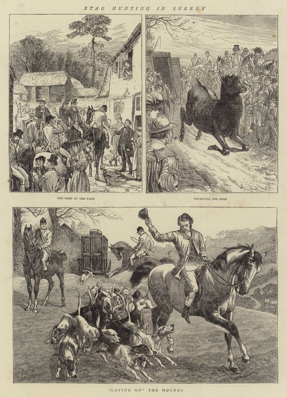 Hirschjagd in Surrey von Basil Bradley