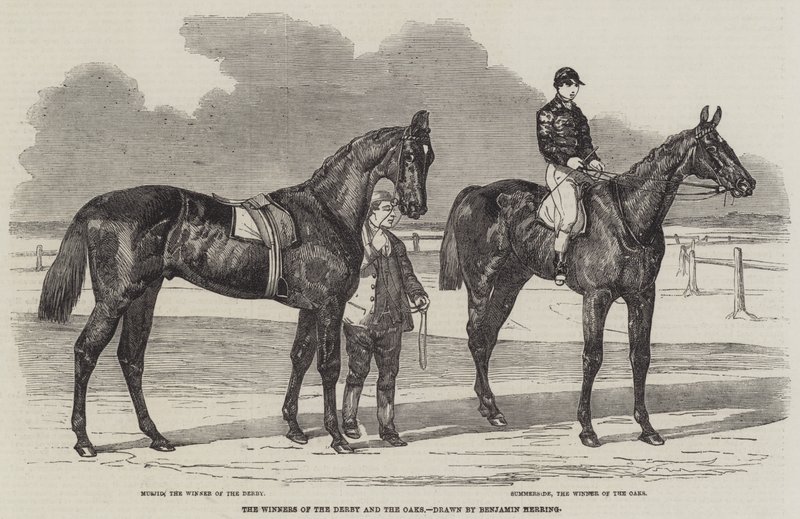 Die Gewinner des Derbys und der Oaks von Benjamin Herring