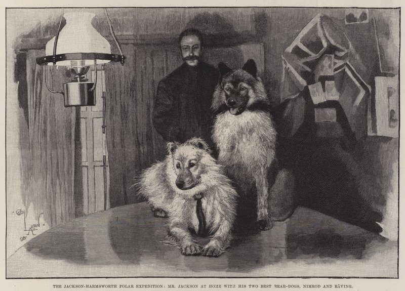 Die Jackson-Harmsworth-Polarexpedition, Herr Jackson zu Hause mit seinen zwei besten Bärenhunden, Nimrod und Raving von Cecil Charles Windsor Aldin