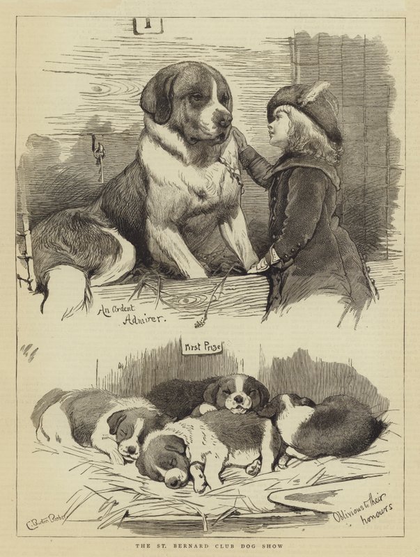 Die St. Bernhard Club-Hundeausstellung von Charles Burton