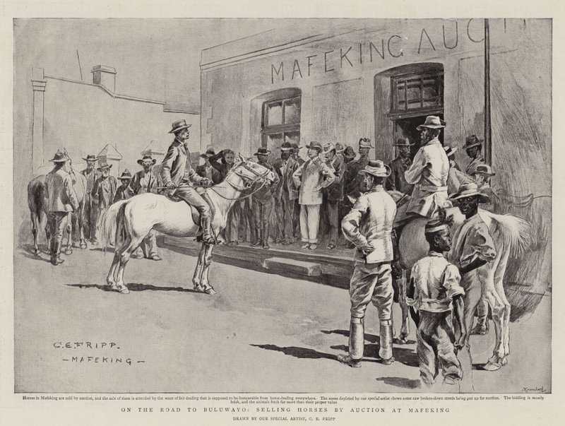 Auf dem Weg nach Bulawayo, Verkauf von Pferden durch Auktion in Mafeking von Charles Edwin Fripp