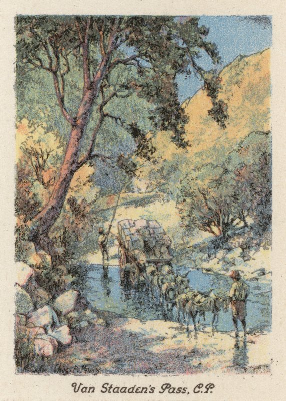 Südafrika: Van Staaden