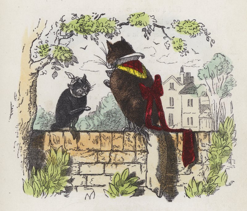 Zwei Katzen auf einer Gartenmauer (farbige Gravur) von Charles Henry (after) Bennett