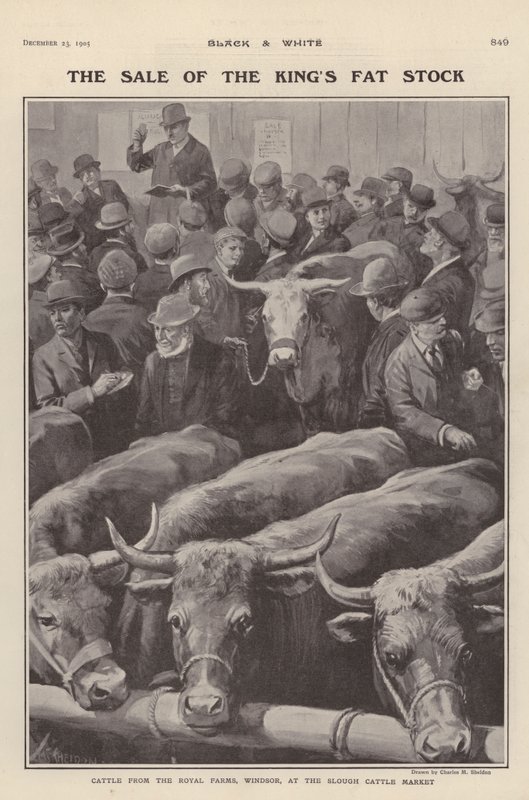 Vieh von den königlichen Höfen in Windsor zum Verkauf auf dem Viehmarkt in Slough, Berkshire von Charles Mills (after) Sheldon