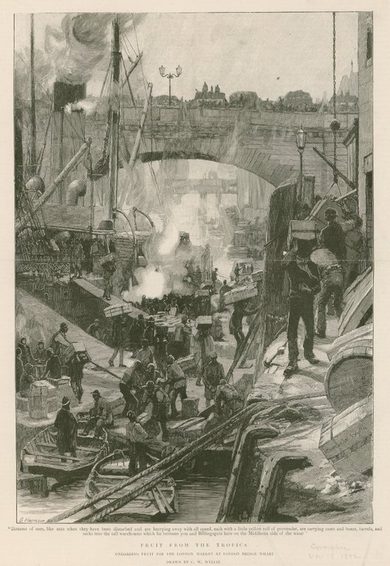 Früchte aus den Tropen von Charles William Wyllie