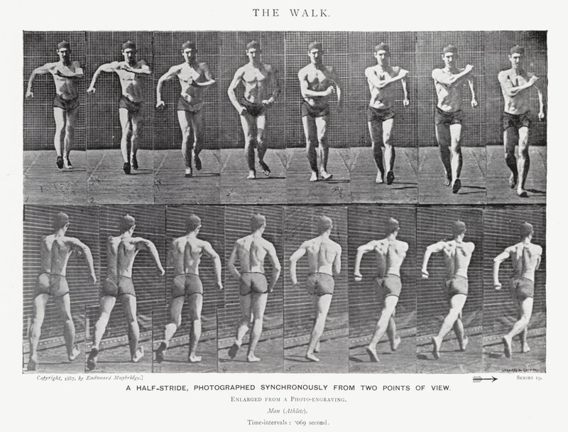 Der Spaziergang von Eadweard Muybridge