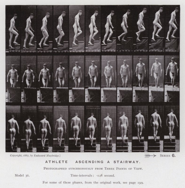 Die menschliche Figur in Bewegung: Athlet, der eine Treppe hinaufsteigt von Eadweard Muybridge