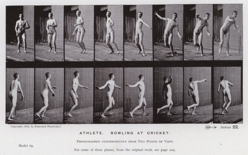 Die menschliche Figur in Bewegung: Athlet, Cricket spielend von Eadweard Muybridge