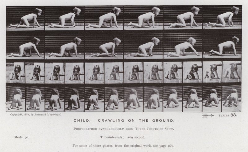 Die menschliche Figur in Bewegung: Kind, das auf dem Boden krabbelt von Eadweard Muybridge