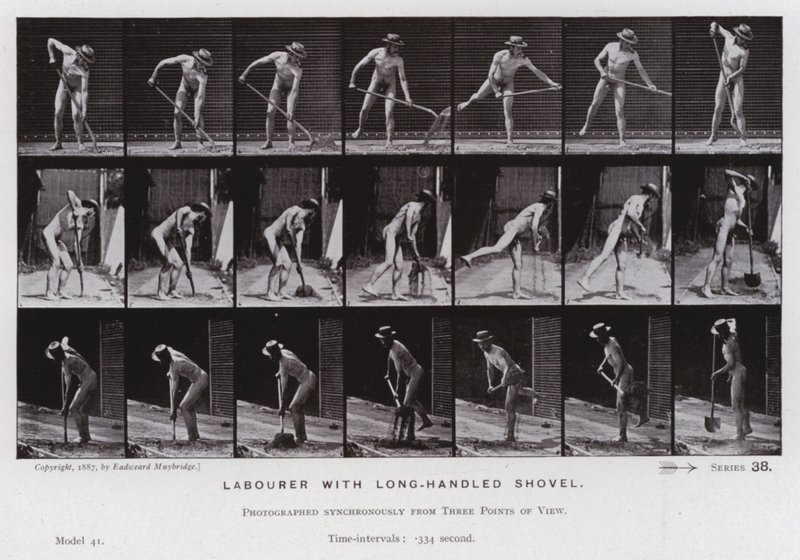 Die menschliche Figur in Bewegung: Arbeiter mit langem Schaufelstiel von Eadweard Muybridge