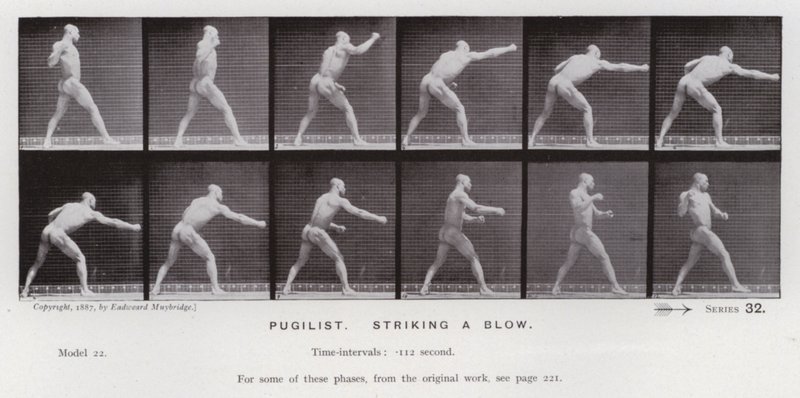 Die menschliche Figur in Bewegung: Boxer, Einen Schlag ausführend von Eadweard Muybridge