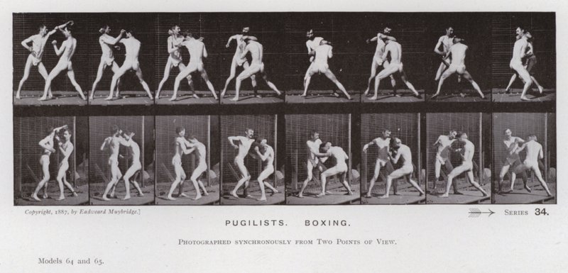 Die menschliche Figur in Bewegung: Boxer, Boxen von Eadweard Muybridge