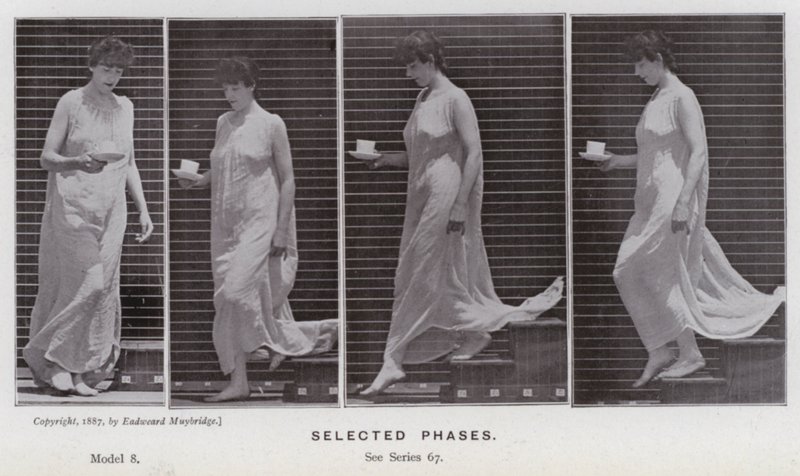 Die menschliche Figur in Bewegung: Ausgewählte Phasen von Eadweard Muybridge