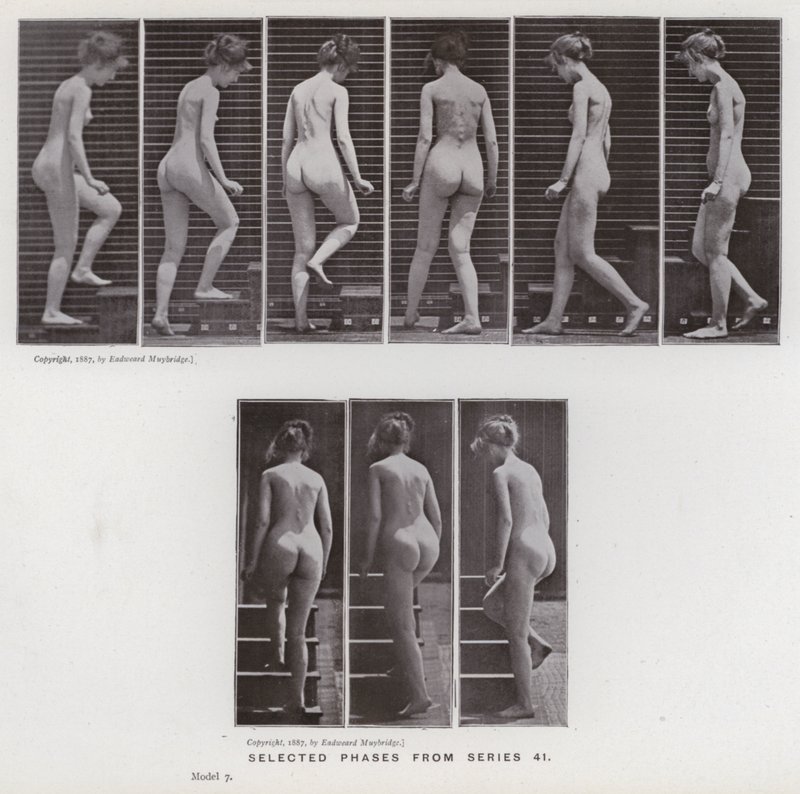 Die menschliche Figur in Bewegung: Ausgewählte Phasen aus Serie 41 von Eadweard Muybridge
