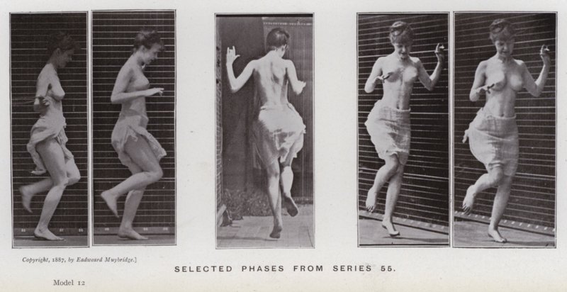 Die menschliche Figur in Bewegung: Ausgewählte Phasen aus Serie 55 von Eadweard Muybridge