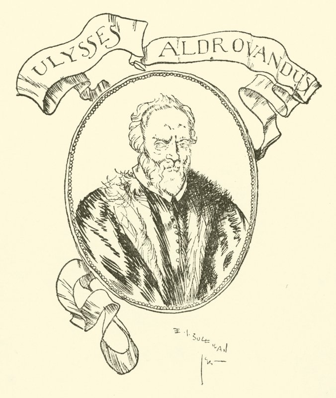 Ulysses Aldrovandus von Edmund Joseph after Sullivan