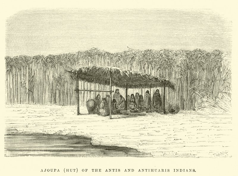 Ajoupa (Hütte) der Antis und Antihuaris Indianer von Edouard Riou