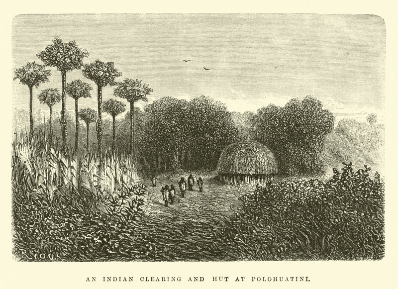 Eine indische Lichtung und Hütte in Polohuatini von Edouard Riou