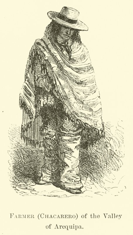 Bauer (Chacarero) des Tals von Arequipa von Edouard Riou