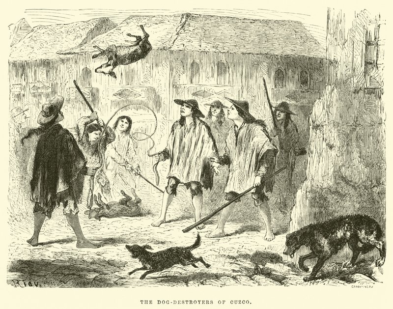 Die Hundevernichter von Cuzco von Edouard Riou