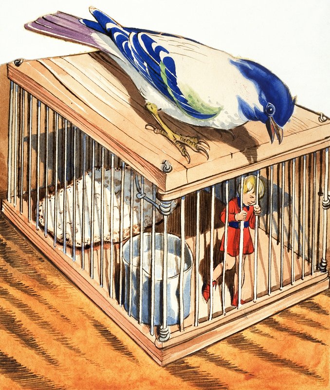 Däumelinchen in einem Vogelkäfig von Eduardo Teixeira Coelho
