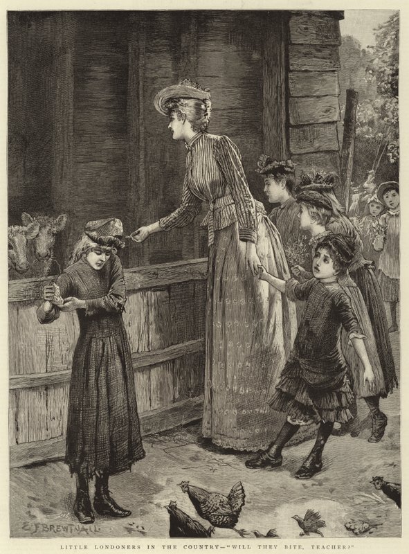 Kleine Londoner auf dem Land, werden sie beißen, Lehrer von Edward Frederick Brewtnall