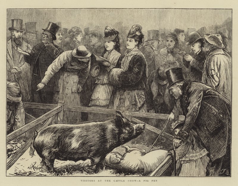 Besucher auf der Viehschau, ein Schweinestall von Edward Frederick Brewtnall
