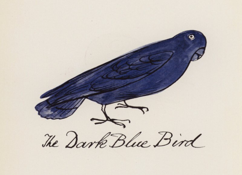 Edward Lear, Das Vogelbuch: Der Dunkelblaue Vogel von Edward (after) Lear