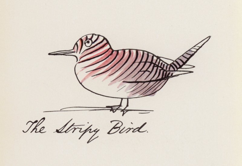 Edward Lear, Das Vogelbuch: Der Gestreifte Vogel von Edward (after) Lear