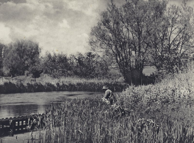 Mai-Zeit an einem Nebenfluss des Test von Edward Alfred Barton