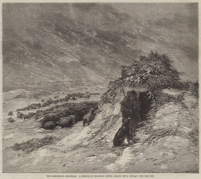 Das Weihnachtsfest des Hirten, eine Skizze auf den Brighton Downs von Edward Duncan