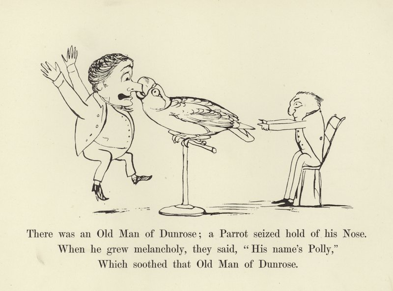 Es war ein alter Mann aus Dunrose; ein Papagei packte seine Nase von Edward Lear
