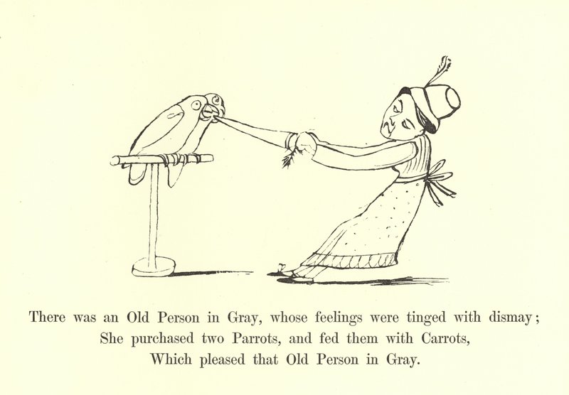 Es war eine alte Person in Grau, deren Gefühle von Bestürzung getrübt waren von Edward Lear