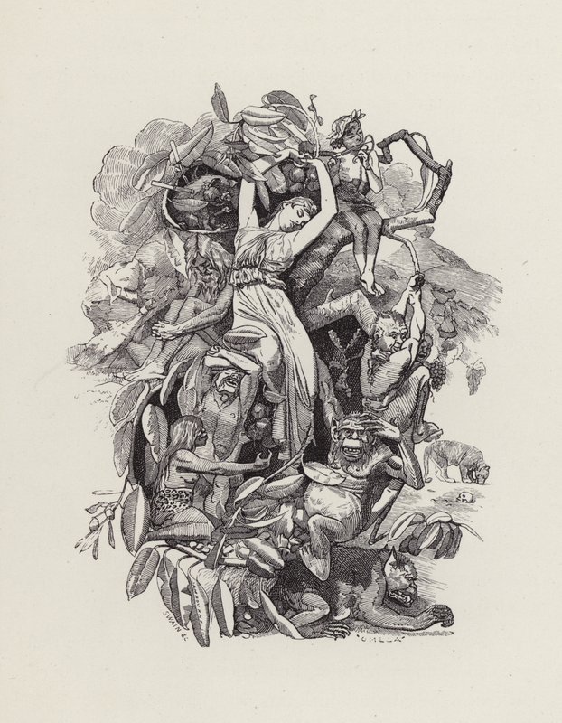 Illustration für Die Wasserkinder von Charles Kingsley von Edward Linley (after) Sambourne