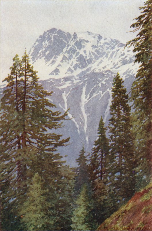 Kotwal aus dem Wald über Kangan, Sind-Tal von Edward Mary Joseph Molyneux