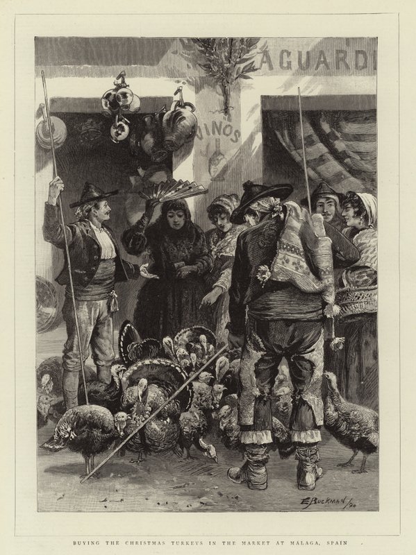 Weihnachtstruthähne auf dem Markt in Malaga, Spanien, kaufen von Edwin Buckman