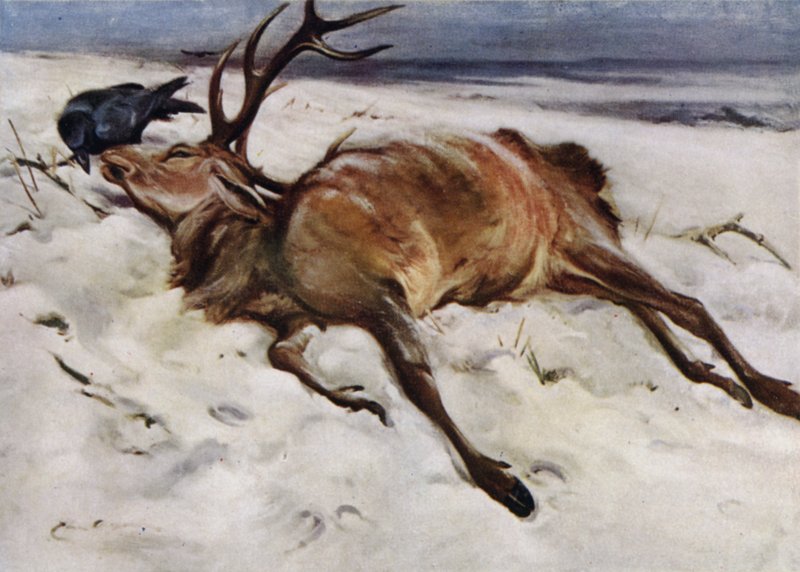 Der tote Hirsch von Edwin John Alexander