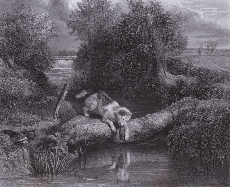 Der Hund und der Schatten von Edwin (after) Landseer