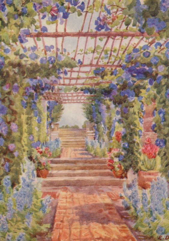 Pergola bedeckt mit blauer Ipomoea Learii de Grendel, Tygerberg von Elizabeth Drake