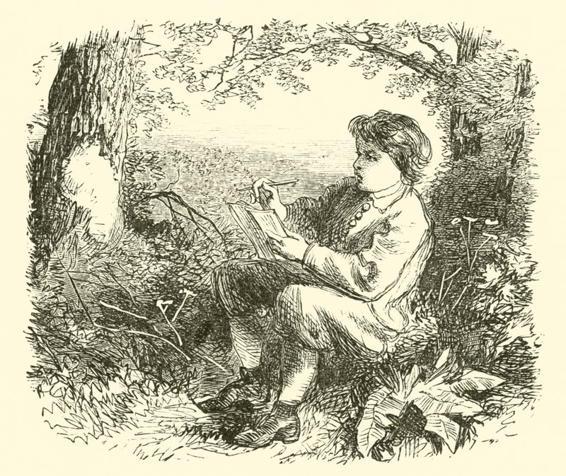 David Wilkie, der Junge, studiert die Natur von English School