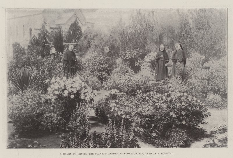 Ein Hafen des Friedens, der Klostergarten in Bloemfontein, als Krankenhaus genutzt von English Photographer
