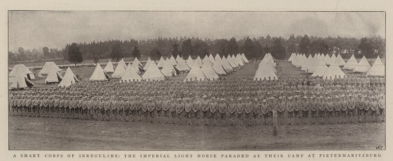 Ein schlaues Korps von Unregelmäßigen, das kaiserliche Leichte Kavallerie-Regiment bei der Parade in ihrem Lager in Pietermaritzburg von English Photographer