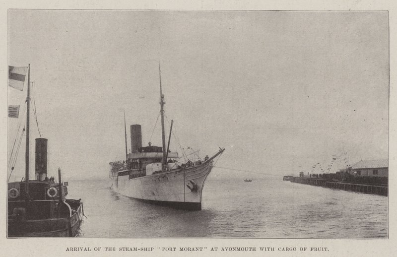 Ankunft des Dampfschiffs Port Morant in Avonmouth mit einer Ladung Obst von English Photographer