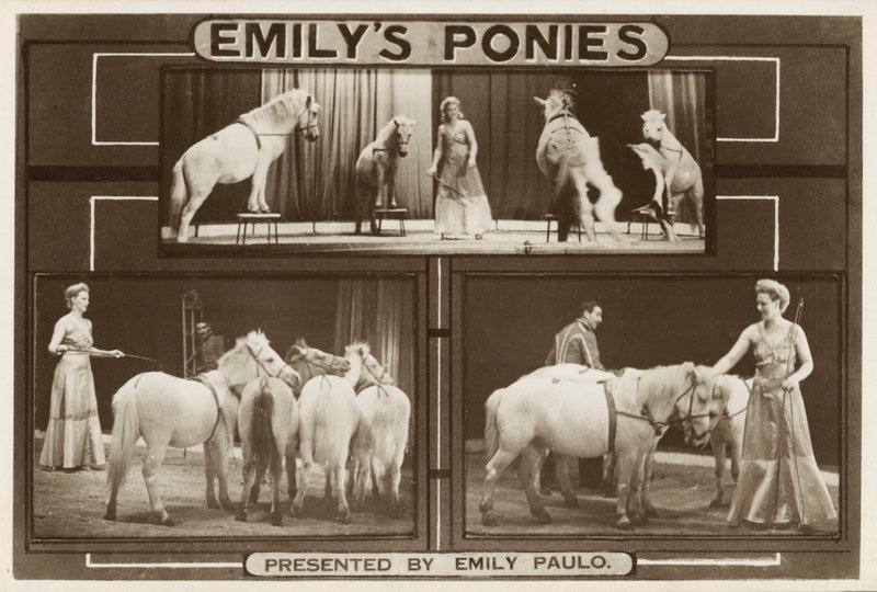 Emily Paulo und ihre dressierten Ponys von English Photographer