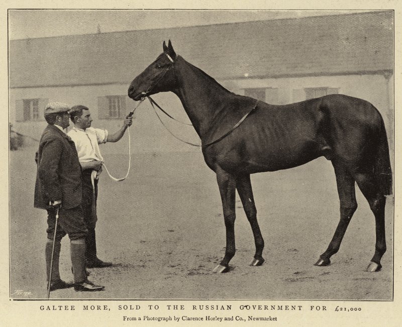 Galtee More, an die russische Regierung für £21.000 verkauft von English Photographer