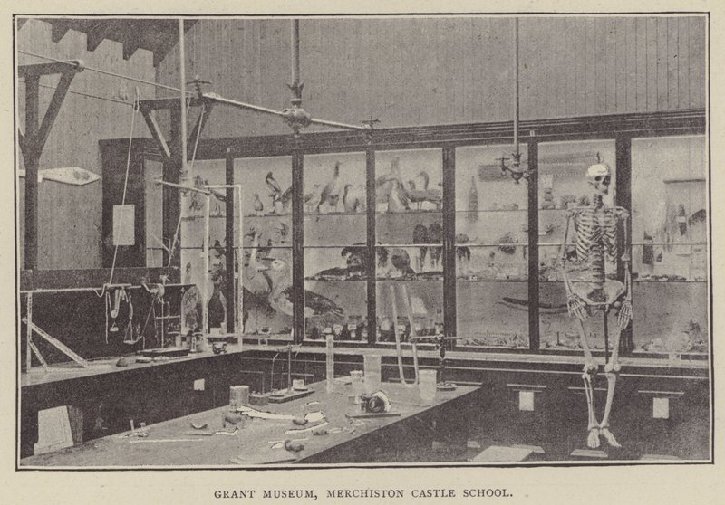Grant Museum, Merchiston Castle School (Gravur) von English Photographer